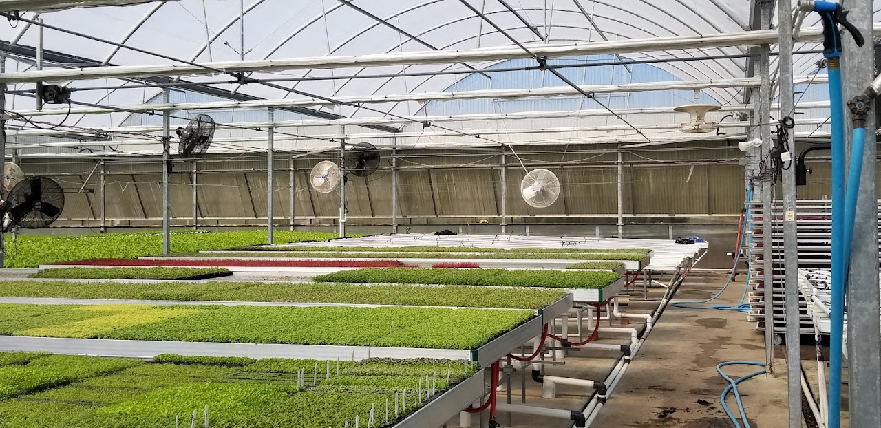 Bella Verde Farms